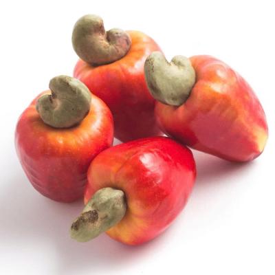CASHEW MARKET REPORT