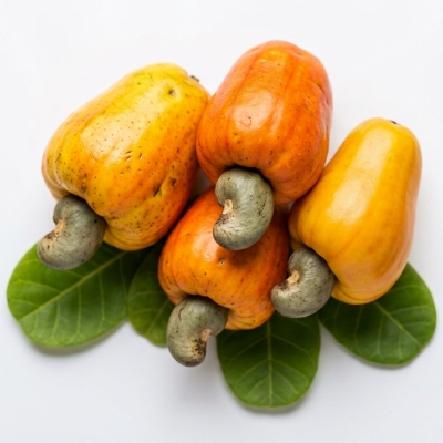 CASHEW MARKET REPORT